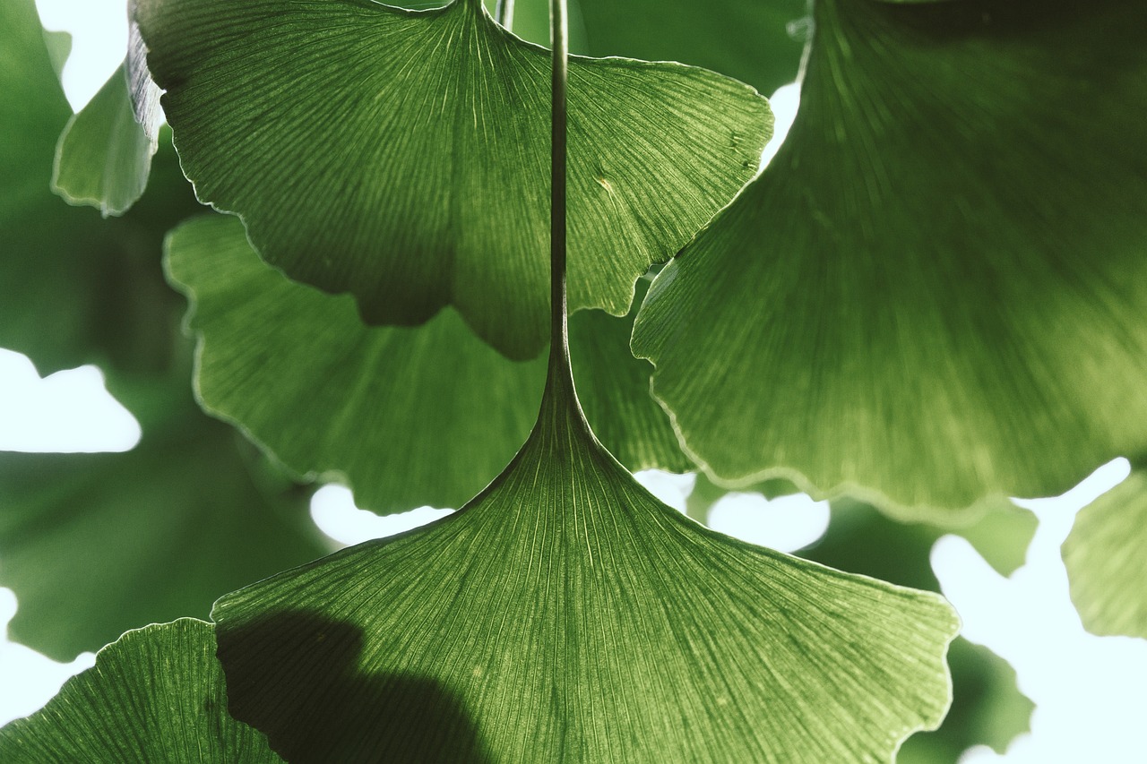 Investing in Green Energy - Is it Profitable?